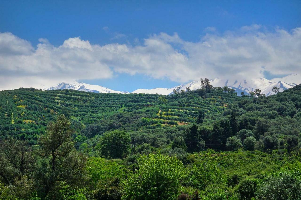 Anthos Village Agia  Экстерьер фото